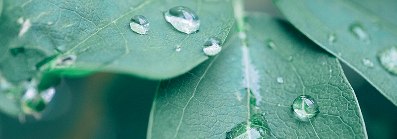 雨水タンク