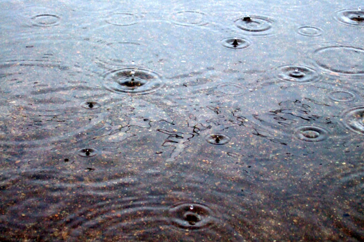 雨水利用は節水だけじゃない、 もっと大きな意義がある！