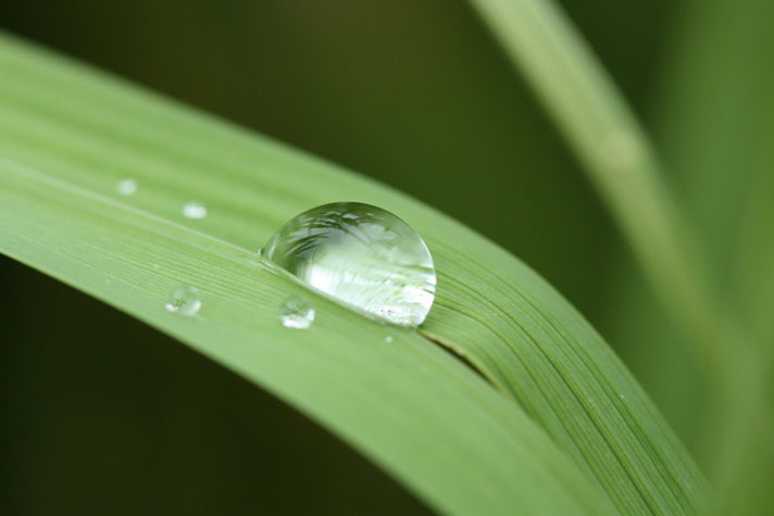 雨粒の大きさに違いができるのはどうして？