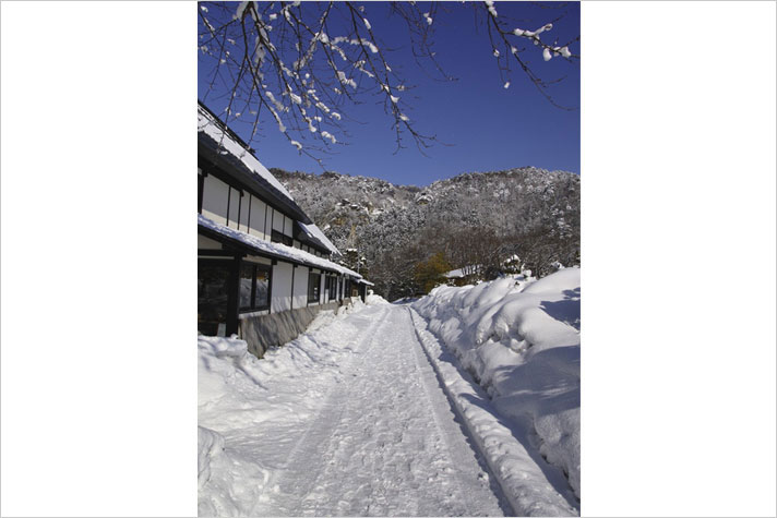 “利雪”の考え 楽しむ雪