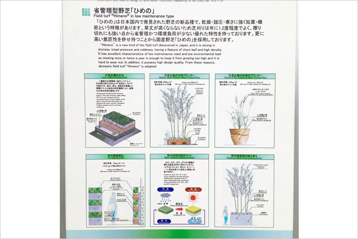 雨豆知識