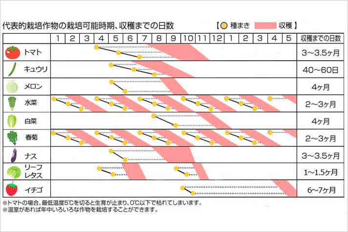 室内でおしゃれに水耕栽培