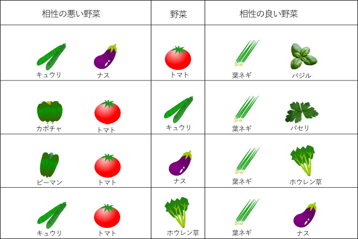 コンパニオンプランツについて