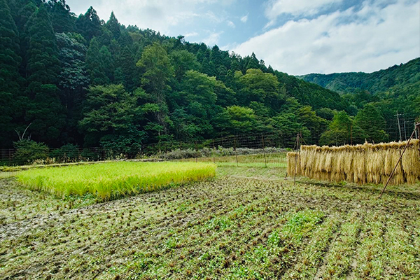 よみもの