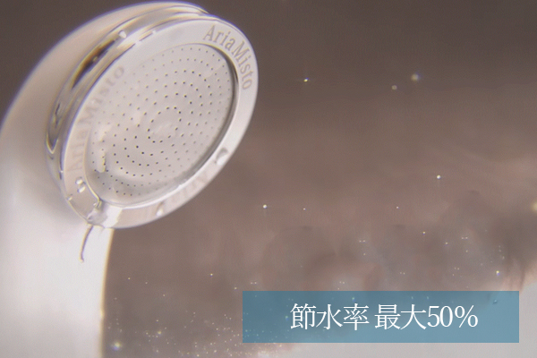ボリーナ 節水