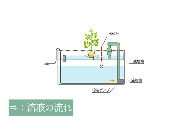 ホームハイポニカサラプラス