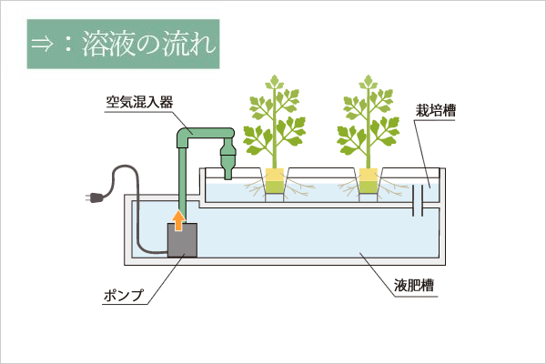 循環構造