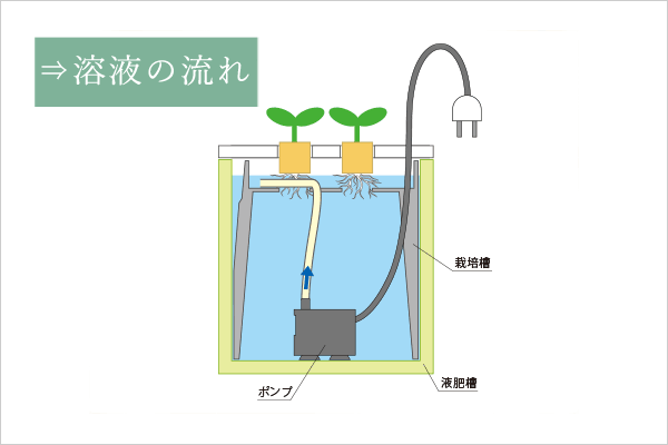 心知菜園