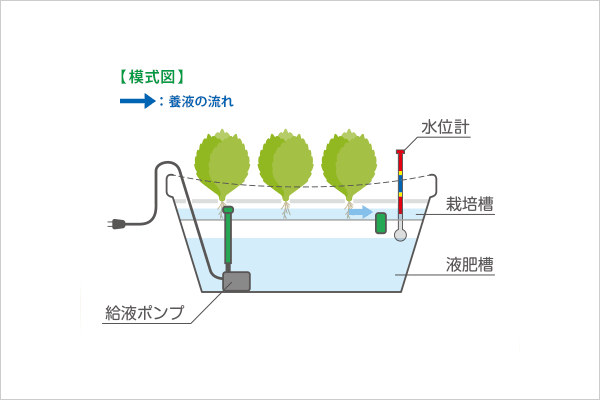 ホームハイポニカカレン 循環構造