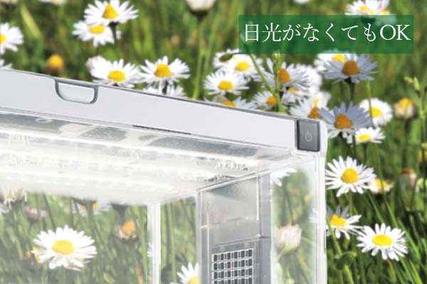 グリーンファーム