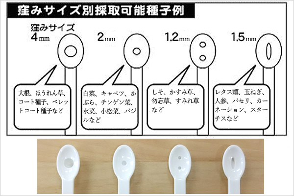 楽たねクン