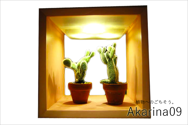 akarina15