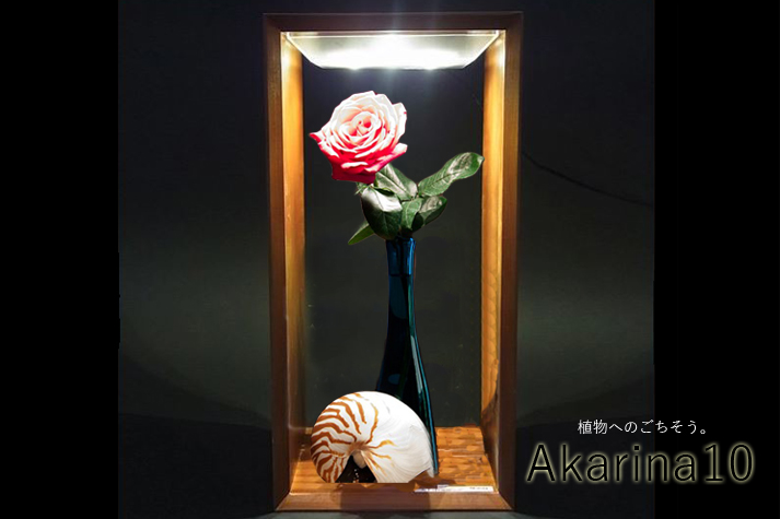 akarina10