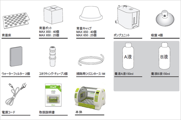 キューピットファーム