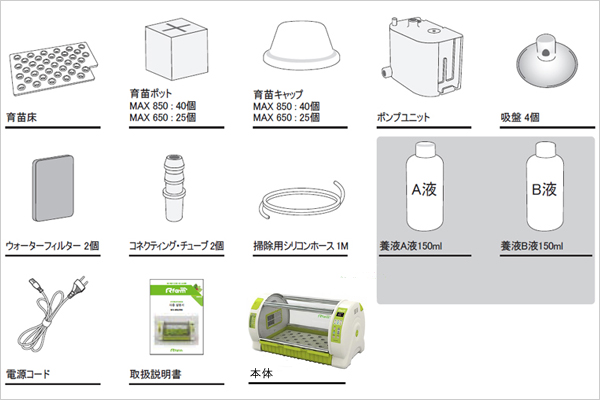 キューピットファーム