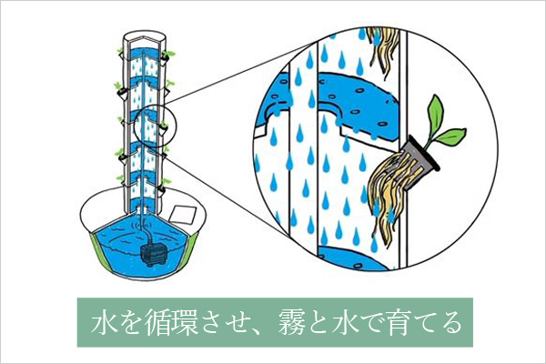 タワーガーデン