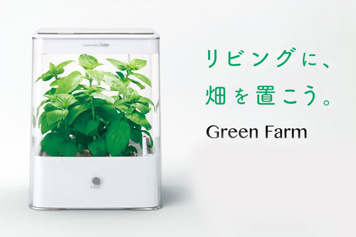 ボスケキューブ