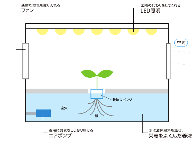 グリーンファームキューブ