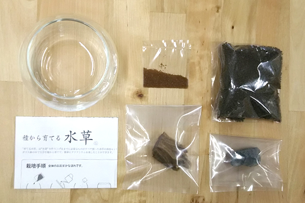 水栽培 聖新陶芸 育てる水草 Sサイズ Tokilaboトキラボ 水栽培 聖新陶芸 育てる水草 Sサイズ Tokilaboトキラボ