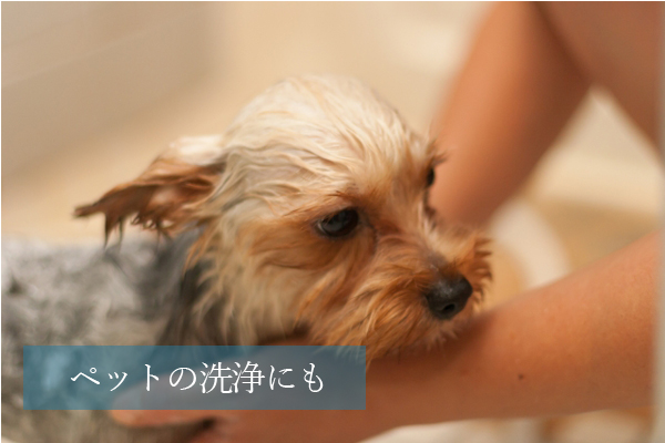 ピュアブル