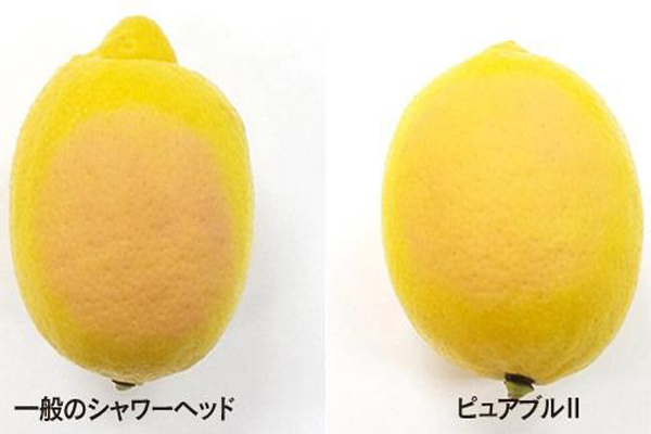 ピュアブル