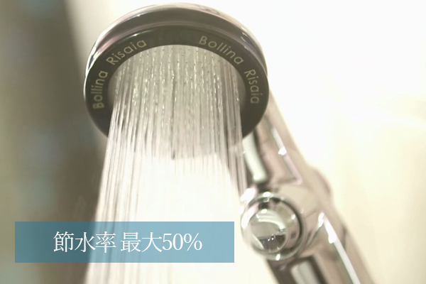 ボリーナリザイア 節水