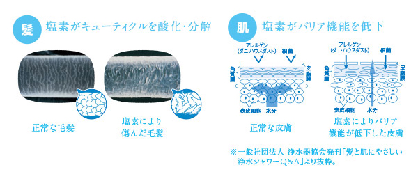 東レトレシャワー塩素除去