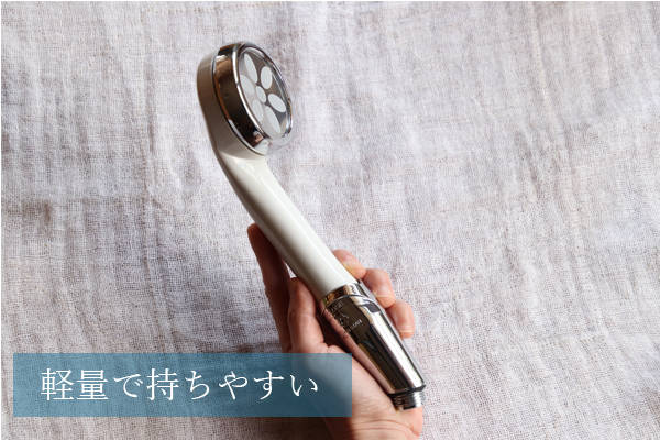 ナノフェミラス