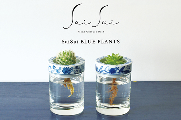 Sai Sui BLUE PLANTS