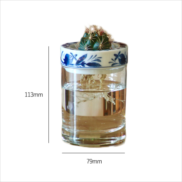 Sai Sui BLUE PLANTS