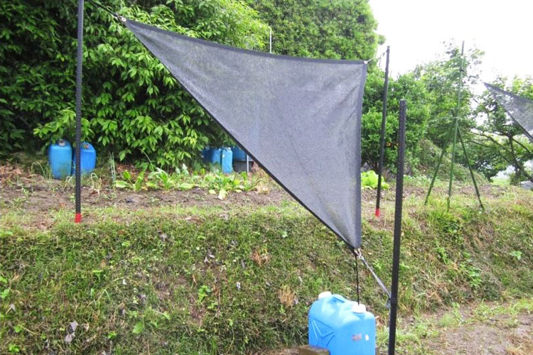 雨水簡易集水ネット雨葉(あめは)ネット