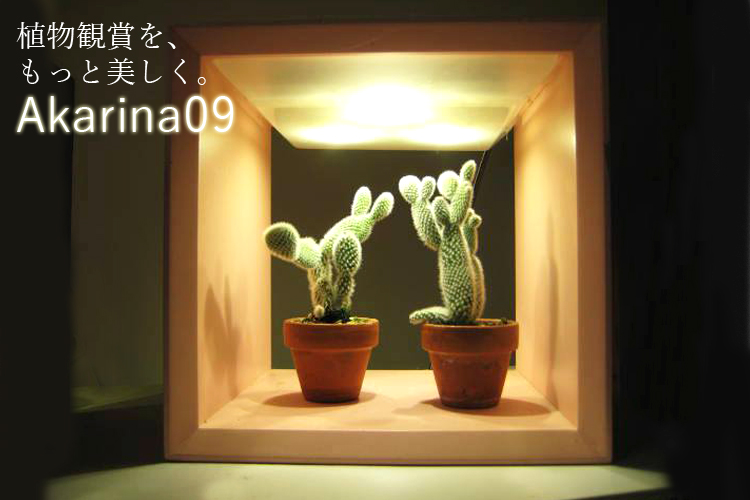 Akarina09 型番MAI09