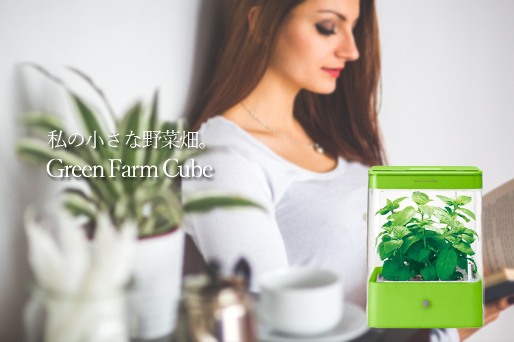 ユーイング Green Farm Cube (グリーンファームキューブ) グリーン 型番UH-CB01G1